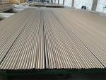 Seamless Titanium Tube/Pipe